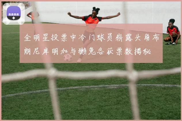 全明星投票中冷门球员崭露头角布朗尼库明加与獭兔各获票数揭秘