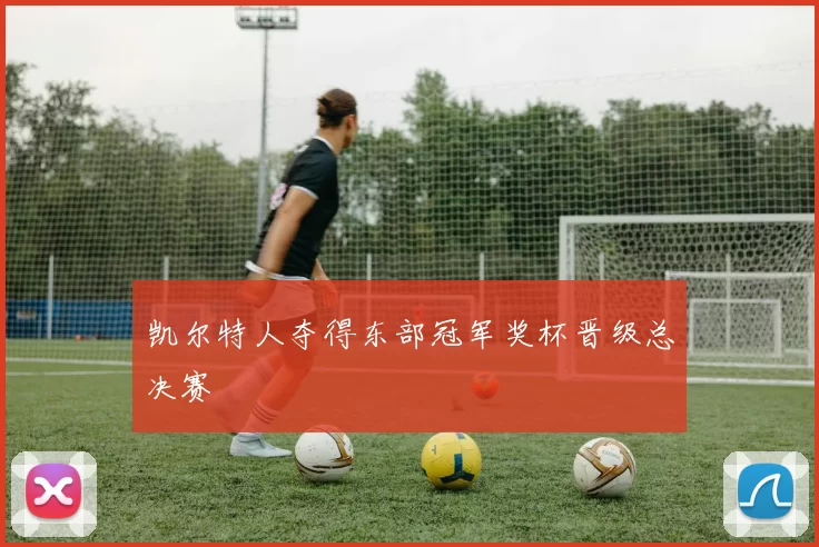 凯尔特人夺得东部冠军奖杯晋级总决赛