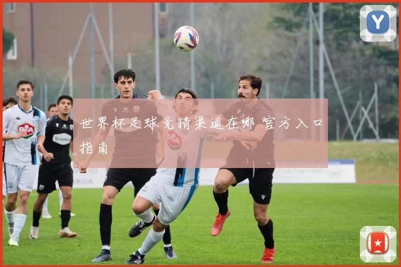 世界杯足球竞猜渠道在哪 官方入口指南