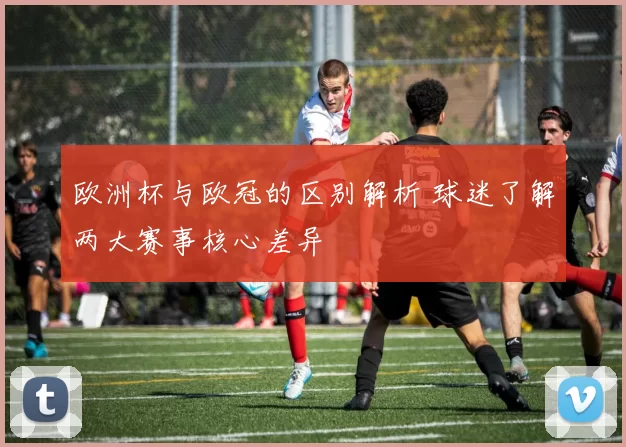 欧洲杯与欧冠的区别解析 球迷了解两大赛事核心差异