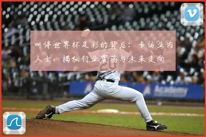 叫停世界杯足彩的背后:专访业内人士,揭秘行业震荡与未来走向