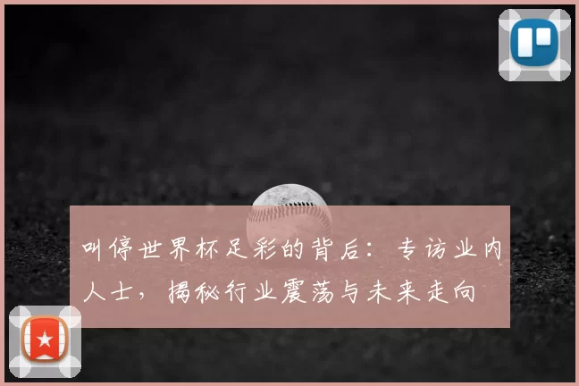 叫停世界杯足彩的背后:专访业内人士,揭秘行业震荡与未来走向