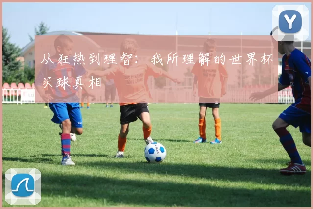 从狂热到理智：我所理解的世界杯买球真相