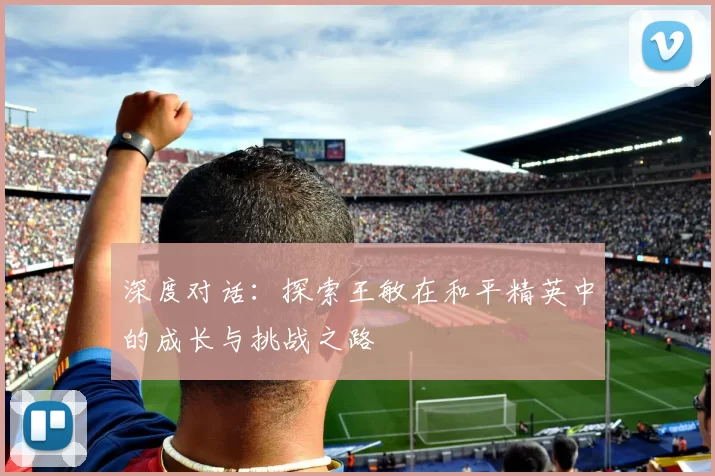 深度对话:探索王敏在和平精英中的成长与挑战之路