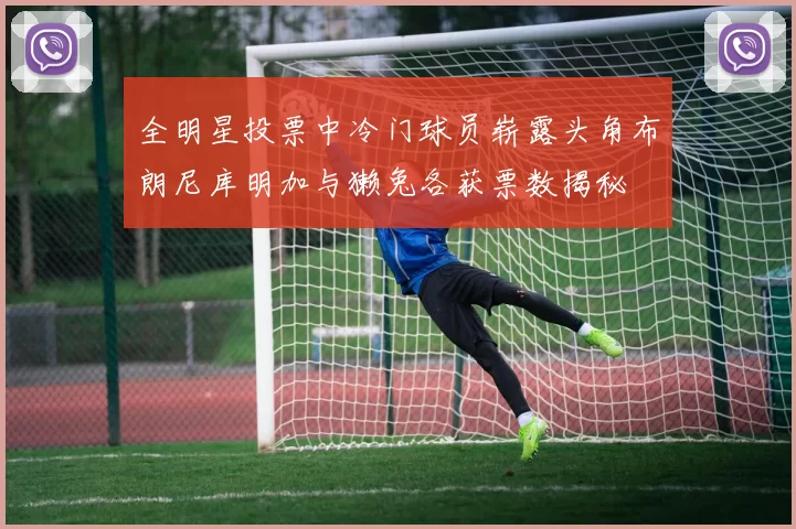 全明星投票中冷门球员崭露头角布朗尼库明加与獭兔各获票数揭秘