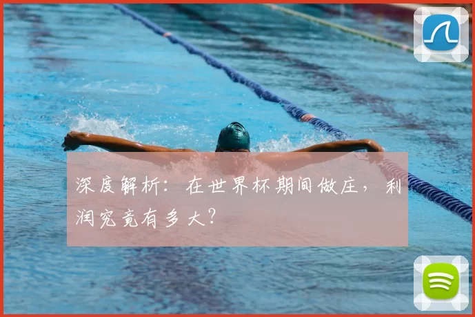 深度解析:在世界杯期间做庄,利润究竟有多大?