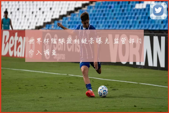 世界杯赌球盈利链条曝光 监管部门介入调查