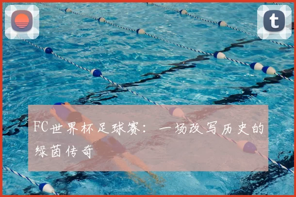 FC世界杯足球赛：一场改写历史的绿茵传奇