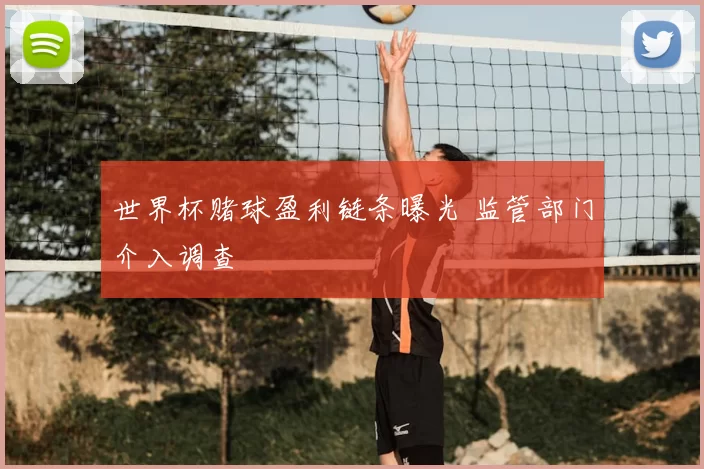 世界杯赌球盈利链条曝光 监管部门介入调查