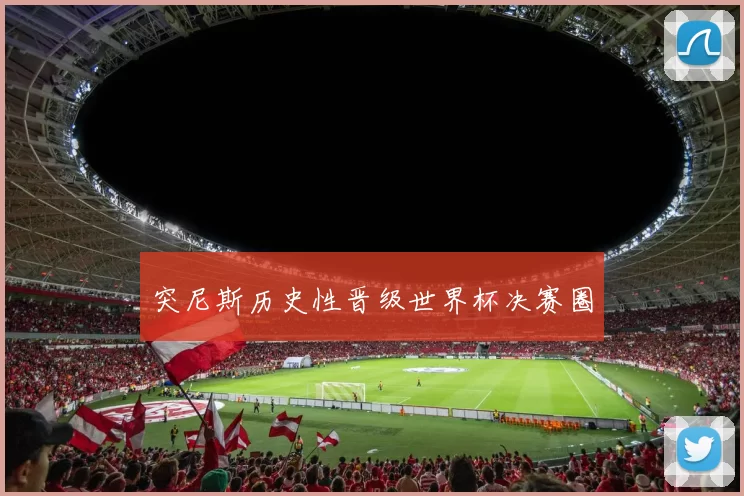 突尼斯历史性晋级世界杯决赛圈
