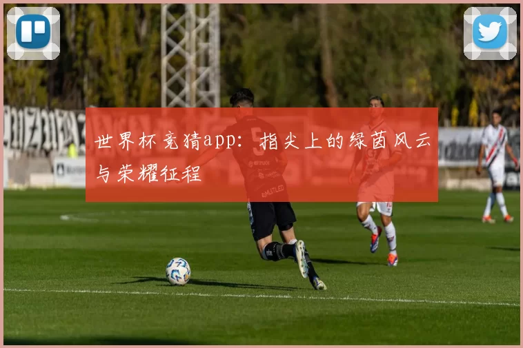 世界杯竞猜app:指尖上的绿茵风云与荣耀征程